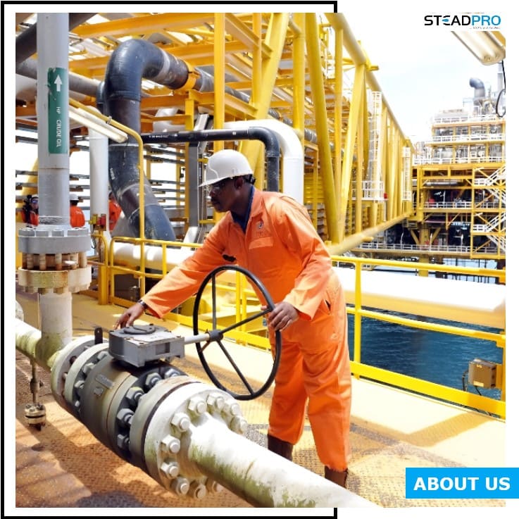 Global recruitment and staffing solutions by SteadPro